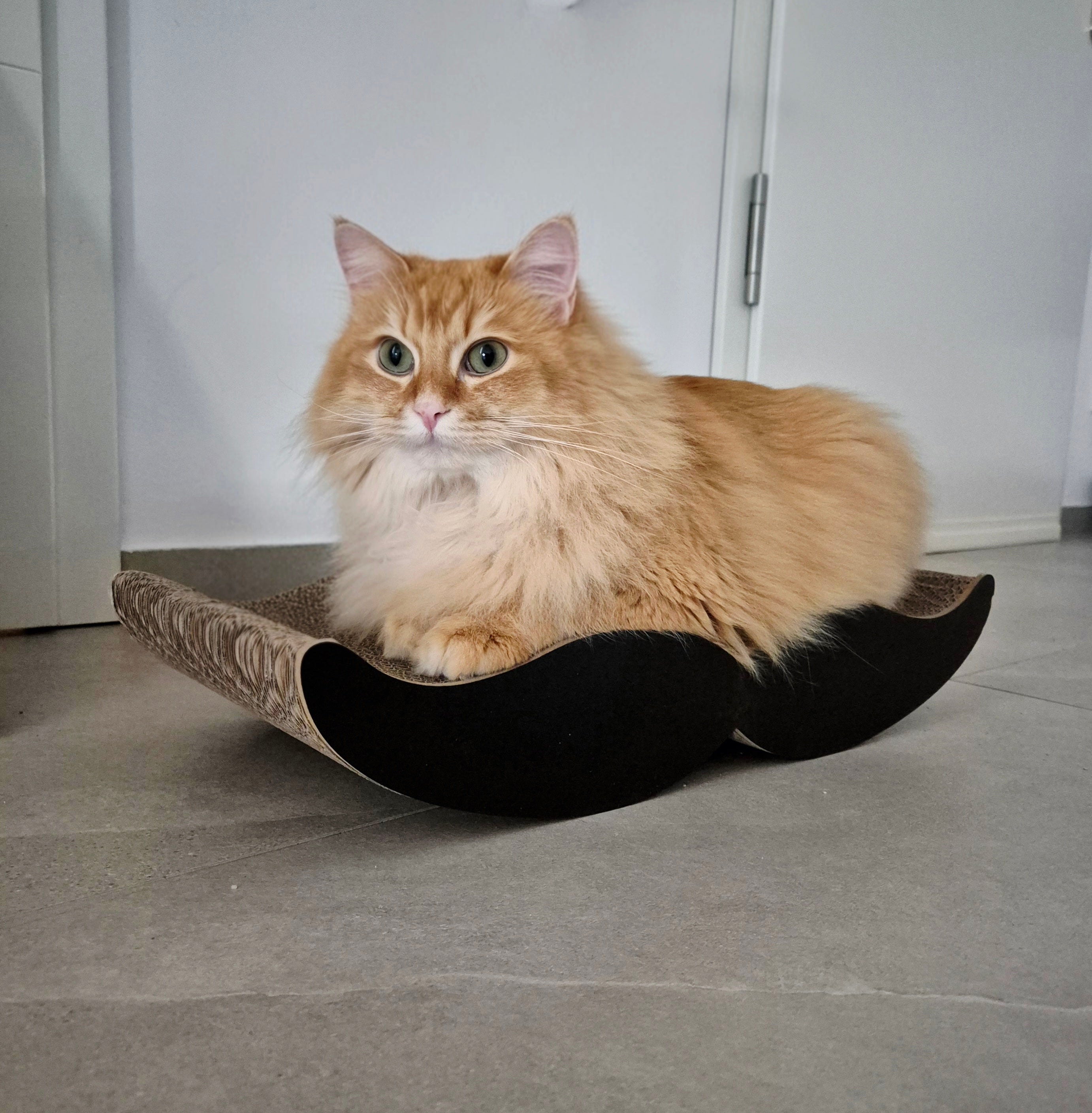Moustache Kratzbrett aus recyceltem Karton - Miau & More