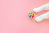Regenbogen Katzenspielball - Miau & More