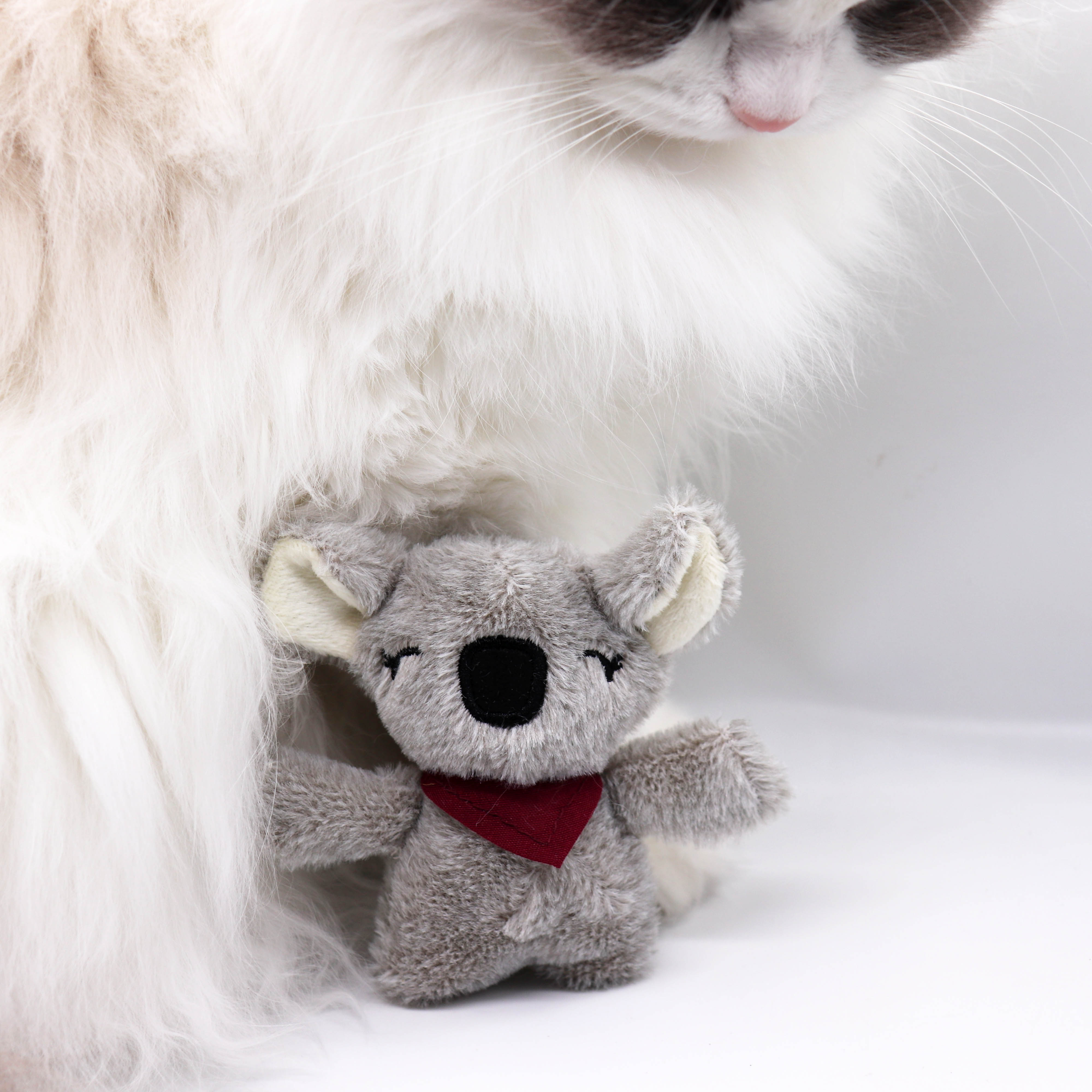 TRIXIE Plüschspielzeug Koala Katzenminze - Miau & More