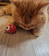 Monsters Set Matatabi Sticks - Miau & More