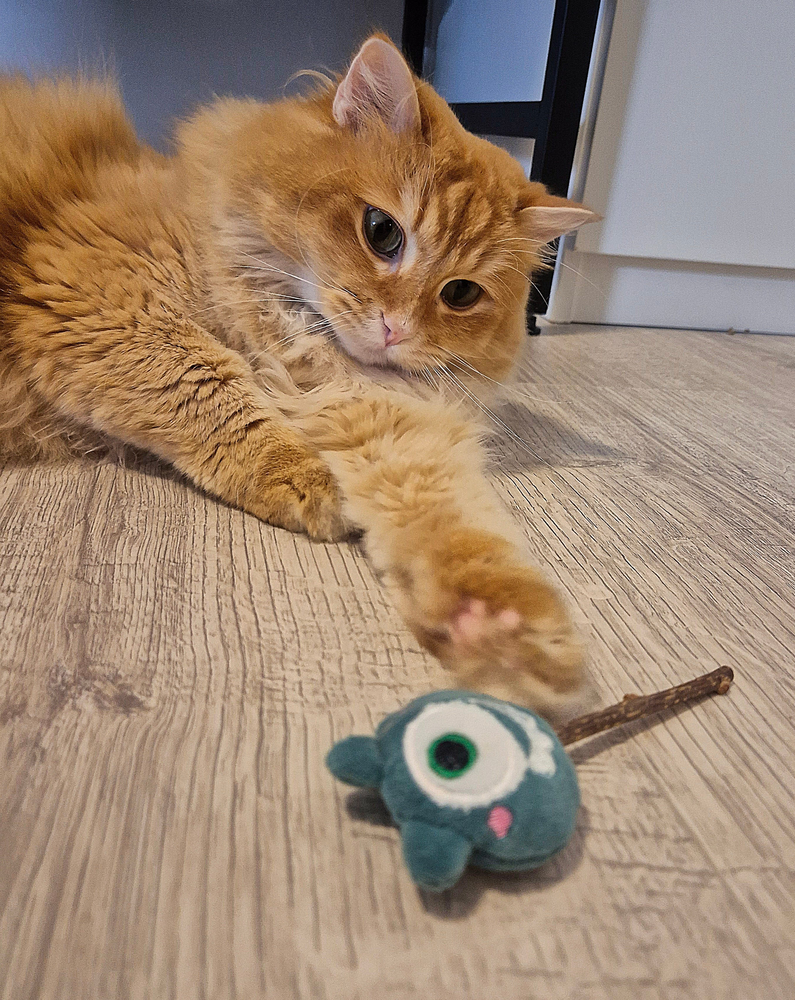 Monsters Set Matatabi Sticks - Miau & More