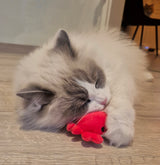 Sealife Set mit Katzenminze - Miau & More