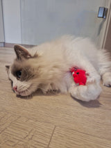 Sealife Set mit Katzenminze - Miau & More