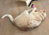 Regenbogen mit Katzenminze