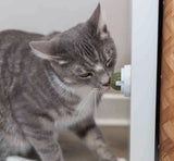 TRIXIE Katzenminze Ball mit Halterung| ⌀ 5cm - Miau & More