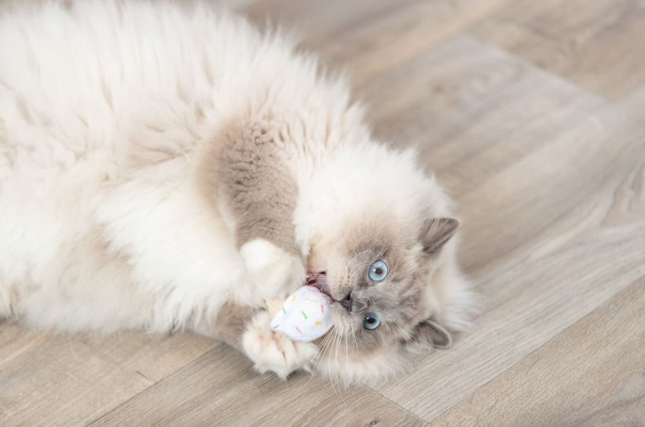 TRIXIE Plüschspielzeug Eis und Cupake (1 Stück) - Miau & More