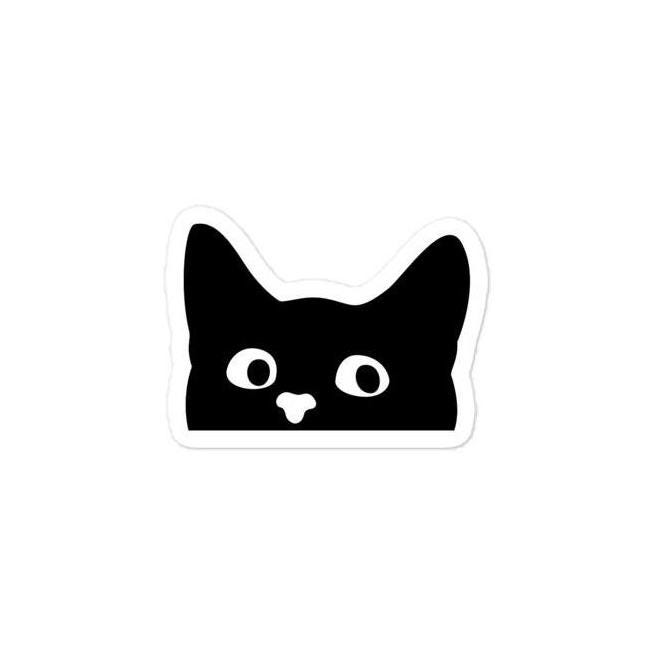 Curious Cat - Vinylsticker - Miau & More