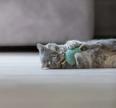 TRIXIE Lovely Herz Matatabi - Miau & More