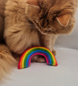Regenbogen mit Katzenminze - Miau & More